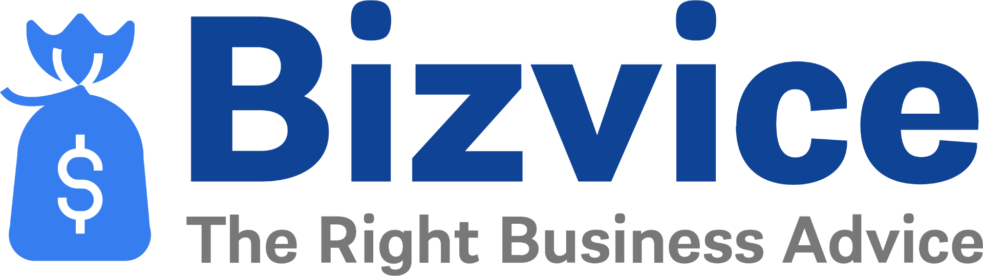 Bizvice logo